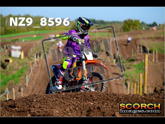 Inters-308