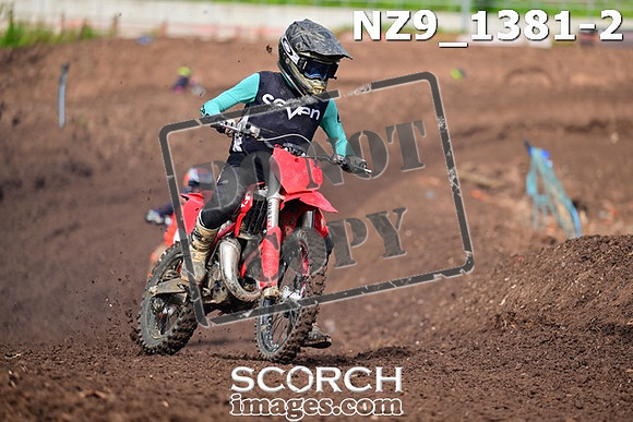 NZ9_1381-2