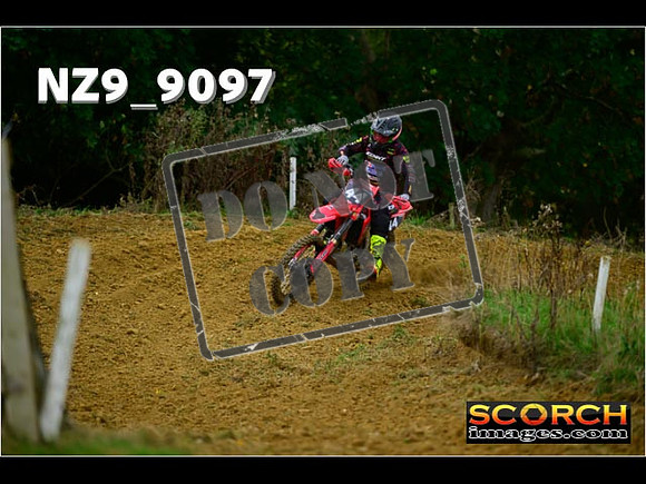Experts-139