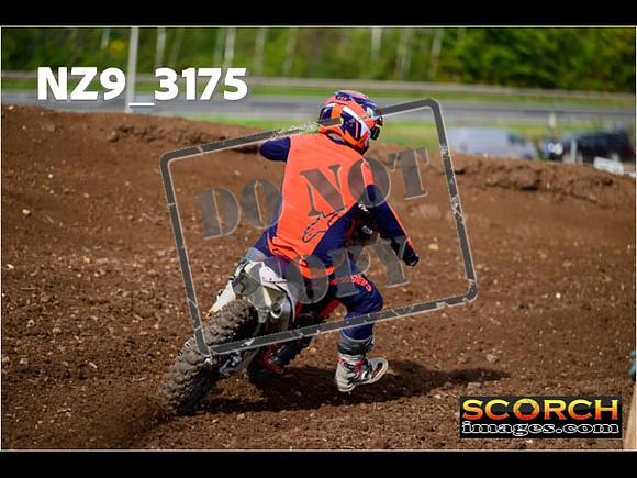Inters-239