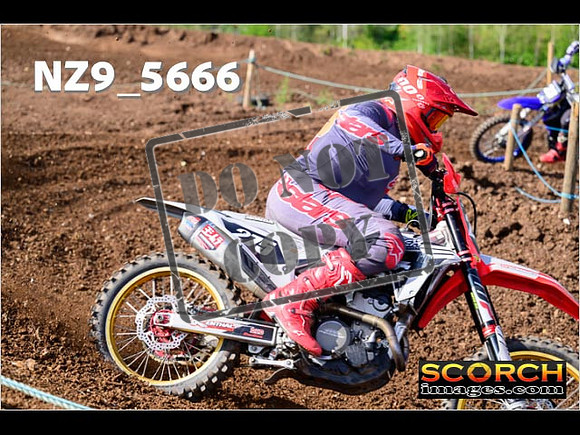 Inters-317