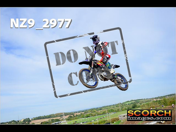 Experts-173
