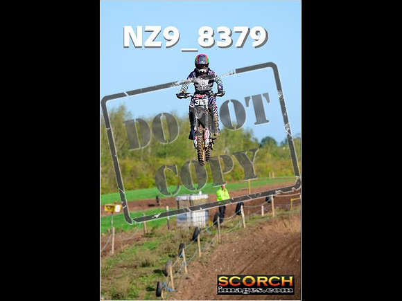 Experts-142