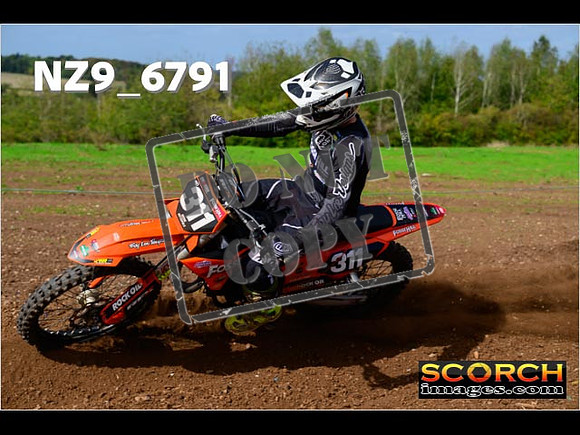 Experts-288