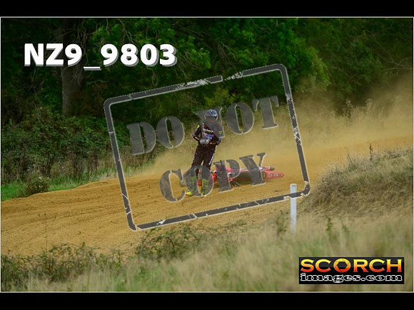 Experts-225