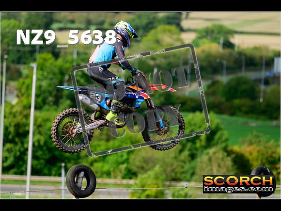 Inters-291
