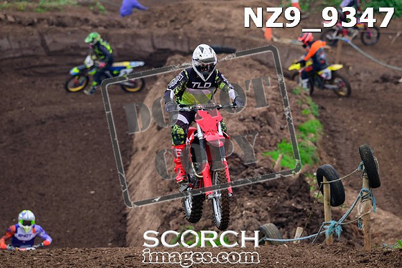 NZ9_9347