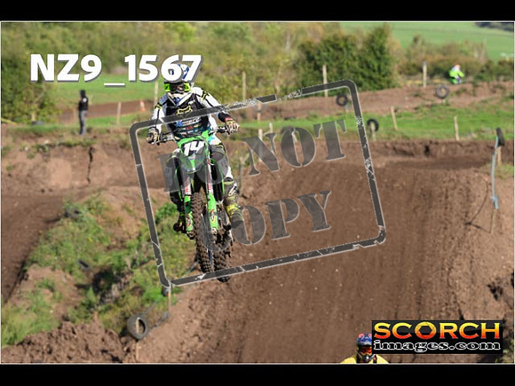 Experts-250