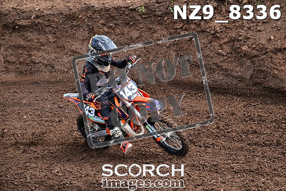 NZ9_8336