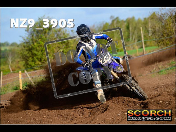 Experts-051