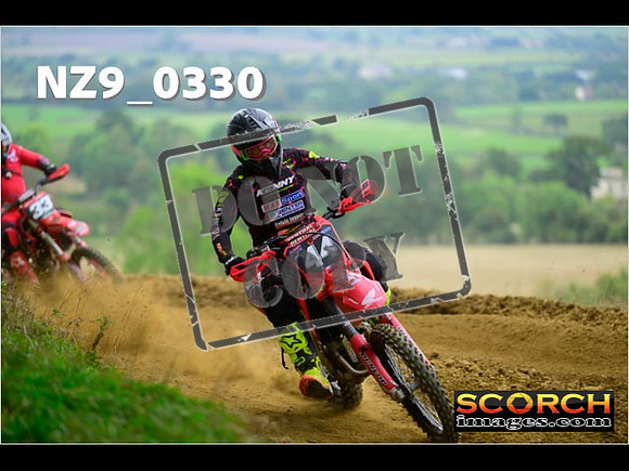 Experts-281