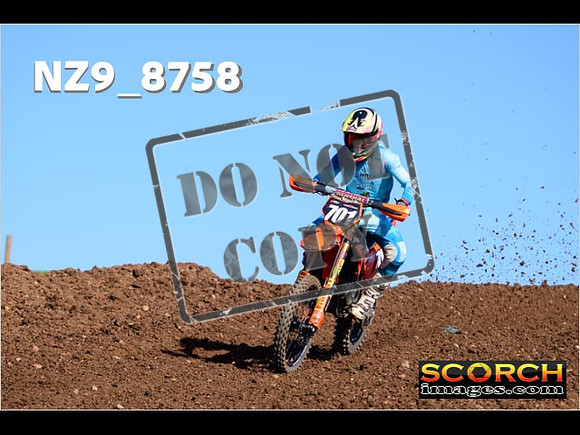 Experts-259