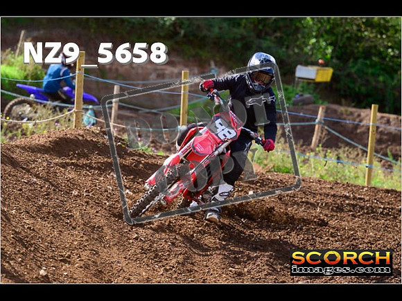Inters-309