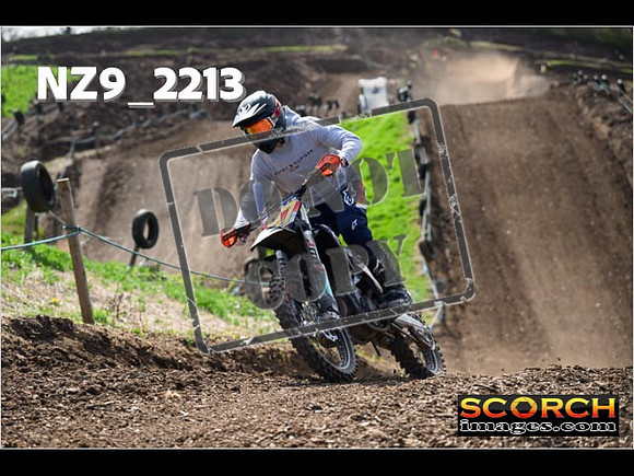 Experts-115