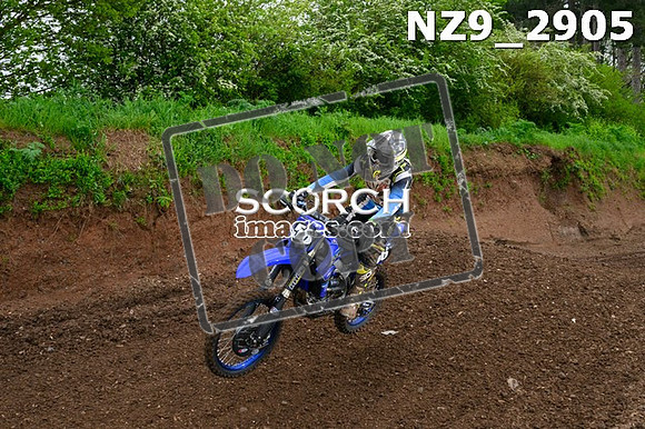 NZ9_2905