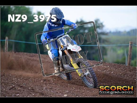 Experts-118