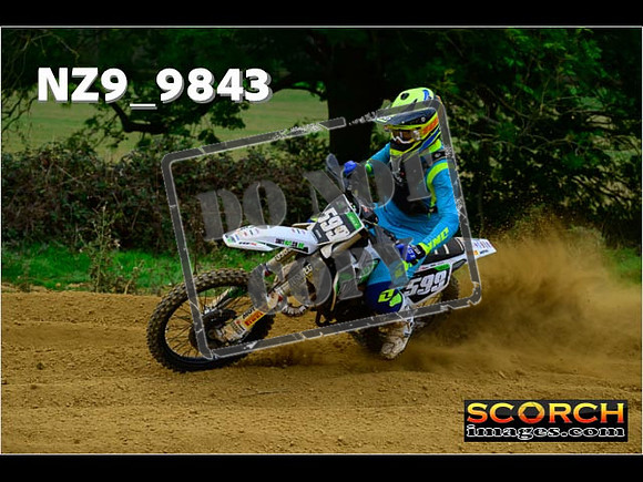 Experts-262