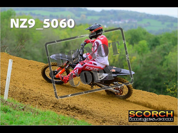 Experts-080