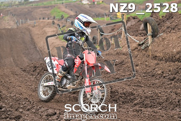 NZ9_2528
