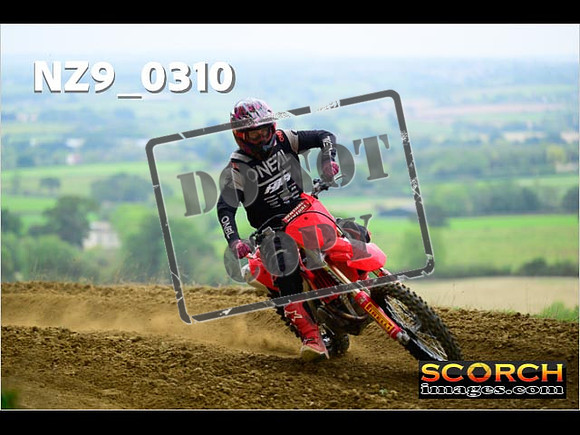 Experts-265