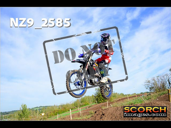 Experts-041
