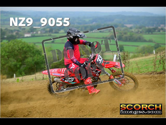 Experts-099