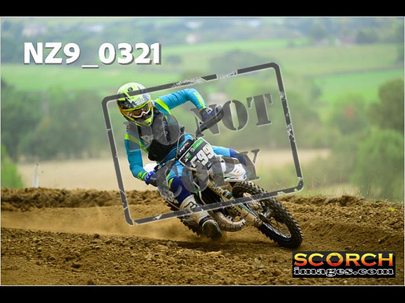 Experts-273