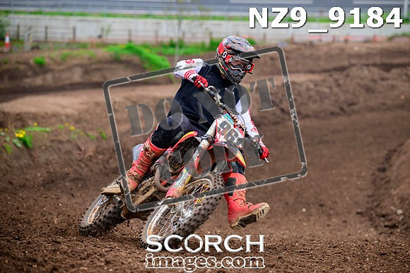 NZ9_9184