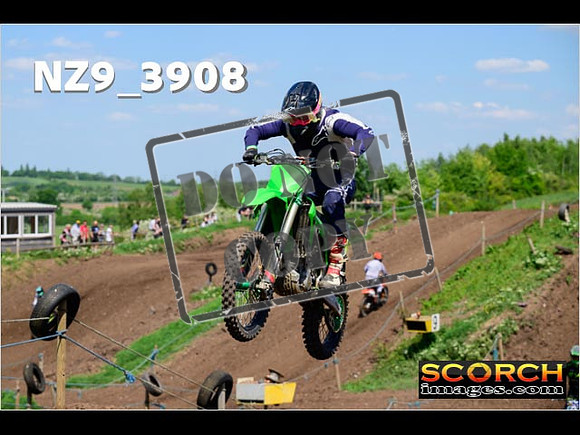 InterGreen-192