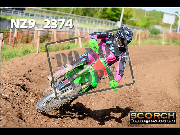Experts-335