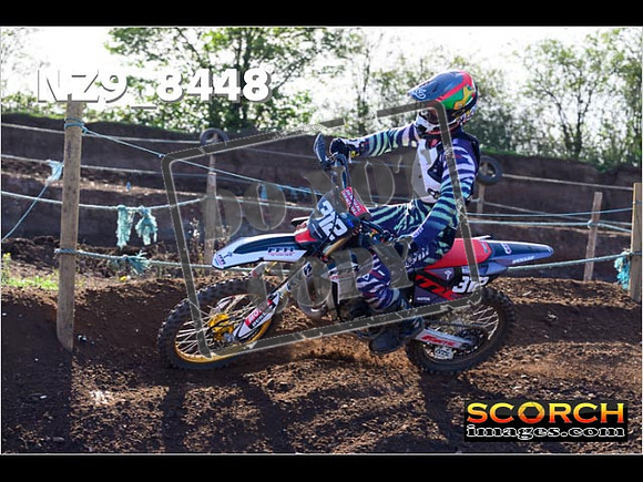 Experts-209