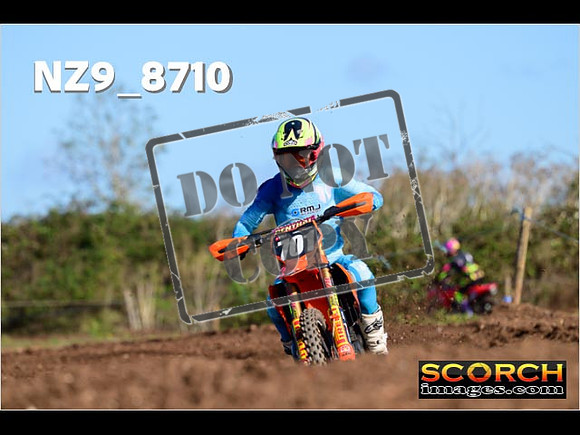 Experts-213