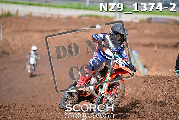NZ9_1374-2