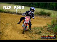 Auto 65's-016