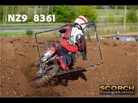 Experts-126