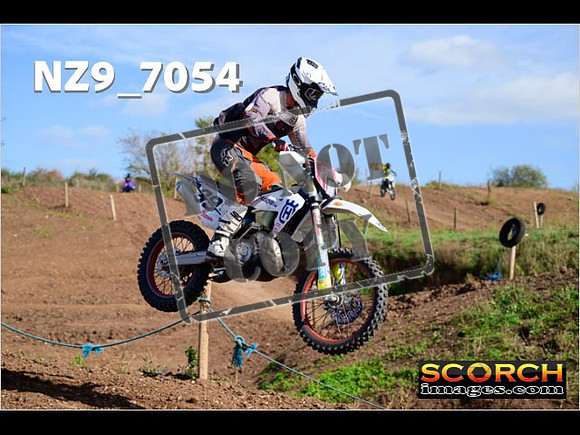 IntersGreen-297