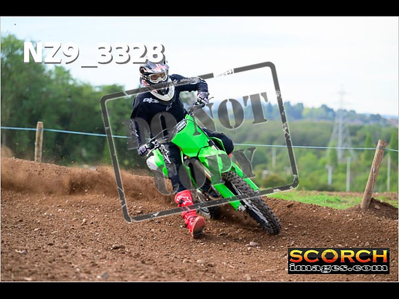 Experts-291