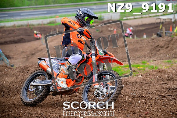 NZ9_9191