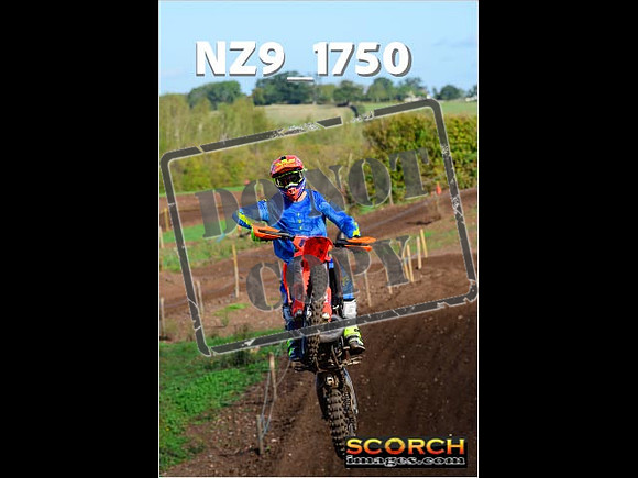 Experts-177