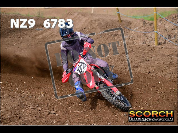 Experts-280