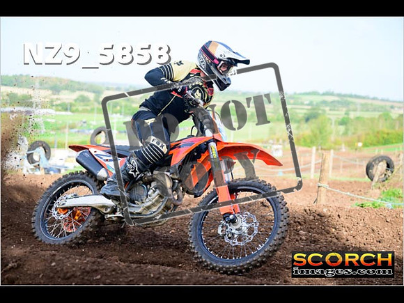 Experts-087