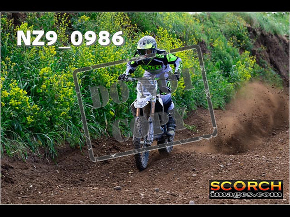 IntersGreen-051