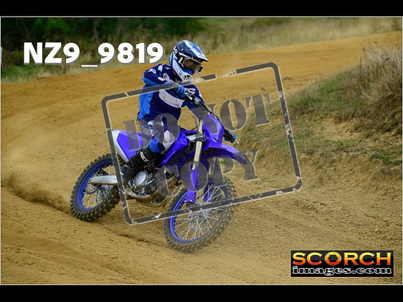 Experts-239
