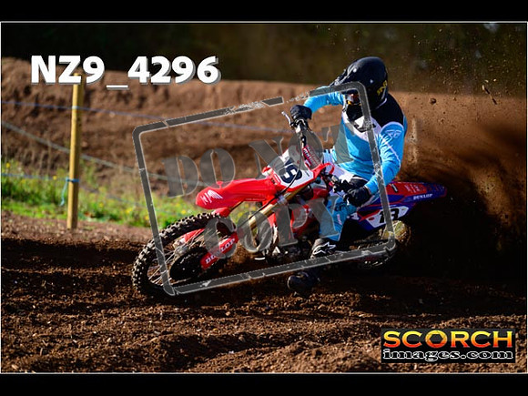 Experts-158