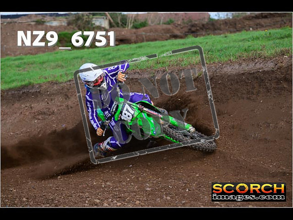 Experts-250