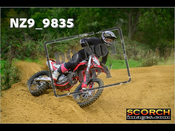 Experts-254