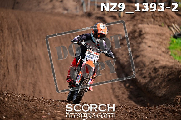 NZ9_1393-2