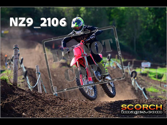 Experts-241