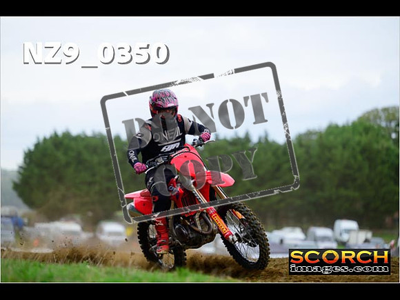 Experts-301