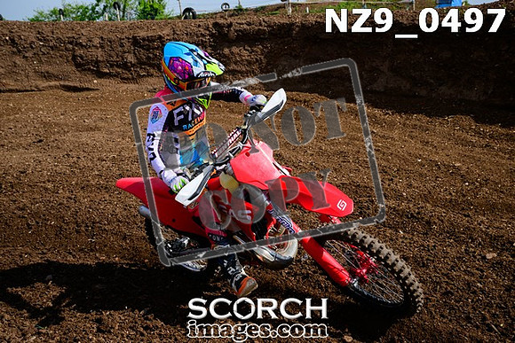 NZ9_0497